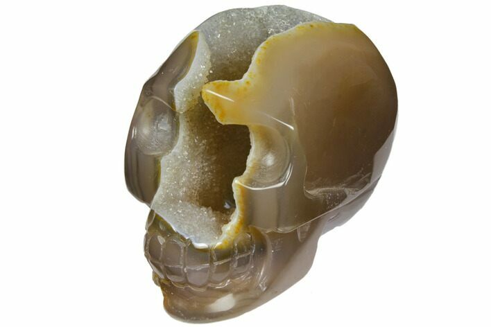 Polished Agate Skull with Quartz Crystal Pocket #148092